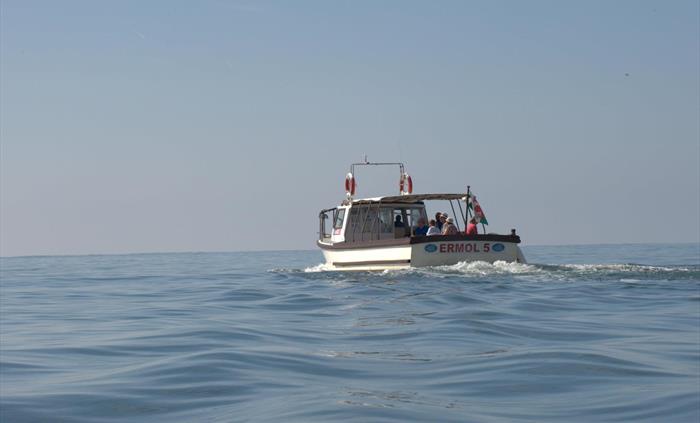 Dolphin Spotting Boat Trips